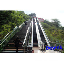 Robust and Reliable Outdoor Escalator